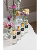 Spray d'ambiance Alchemy Bruyère sauvage et chêne-100 ml