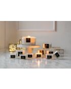 Coffret cadeau Classic hellébores blanches