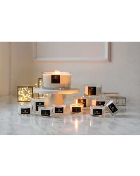 Klassieke witte hellebores geschenkdoos