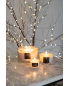 Coffret cadeau Classic hellébores blanches