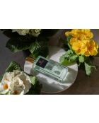 Alchemy Primrose and Amberwood Raumspray, 100 ml