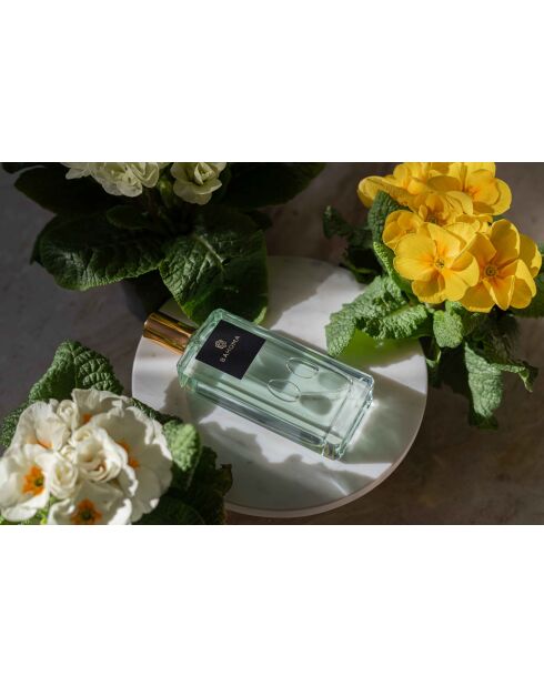 Alchemy Primrose and Amberwood Raumspray, 100 ml