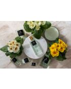 Alchemy Primrose and Amberwood Raumspray, 100 ml