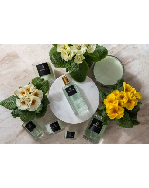 Alchemy Primrose and Amberwood Raumspray, 100 ml