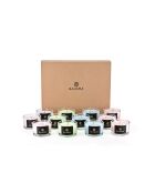 Alchemy BLEND Geschenkset: Amber und Salbei, Primel und Amberwood, Velvet Peony und Cashmere, Wild Heather und Oakwood