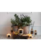 Alchemy Amber and Sage Raumspray, 100 ml