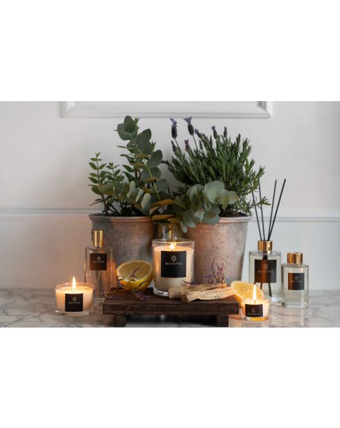 Alchemy Amber and Sage Raumspray, 100 ml