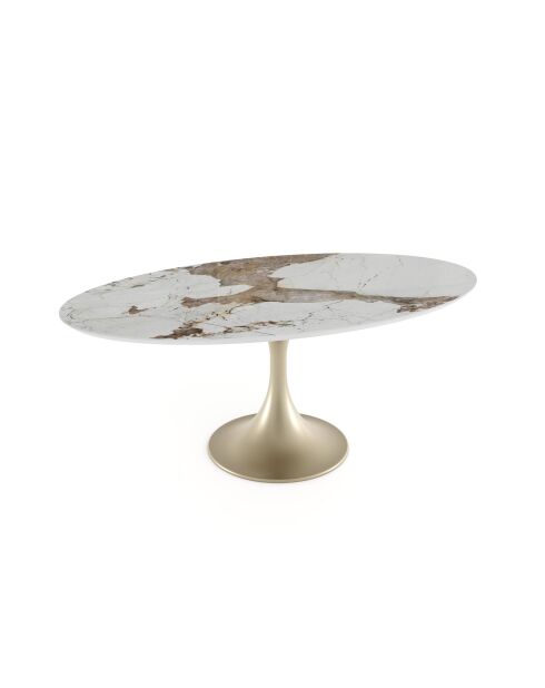Mesa de comedor NYMPHÉA Pandora con pie dorado — 180x90x77 cm