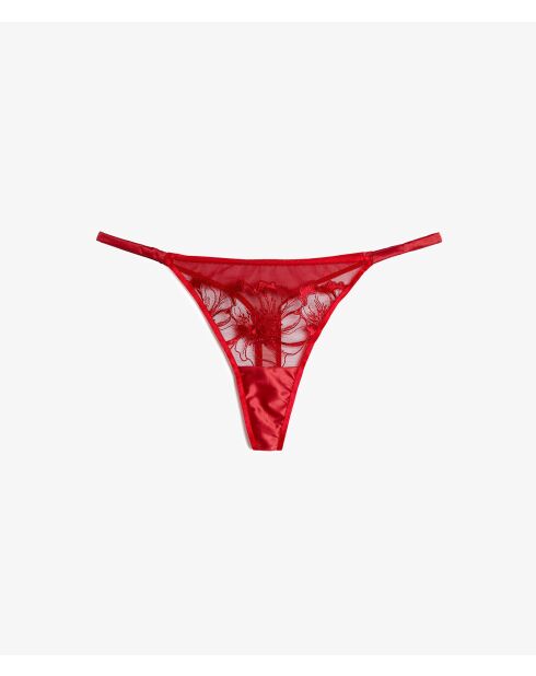 String Amaryllis rouge