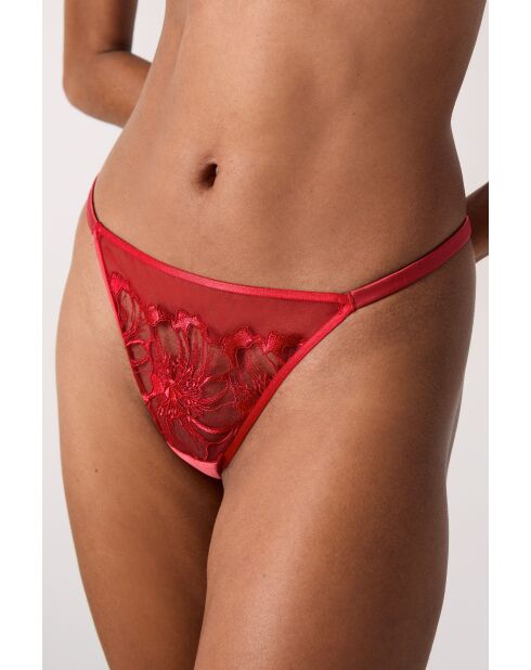 String Amaryllis rouge