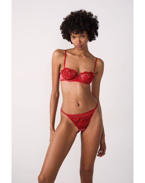 String Amaryllis rouge