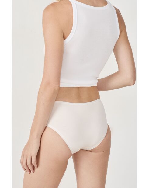 Confezione da 3 pantaloncini Jack multicolori