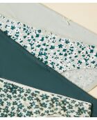 Set di 4 slip Stelly verde abete