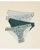 Set di 4 slip Stelly verde abete