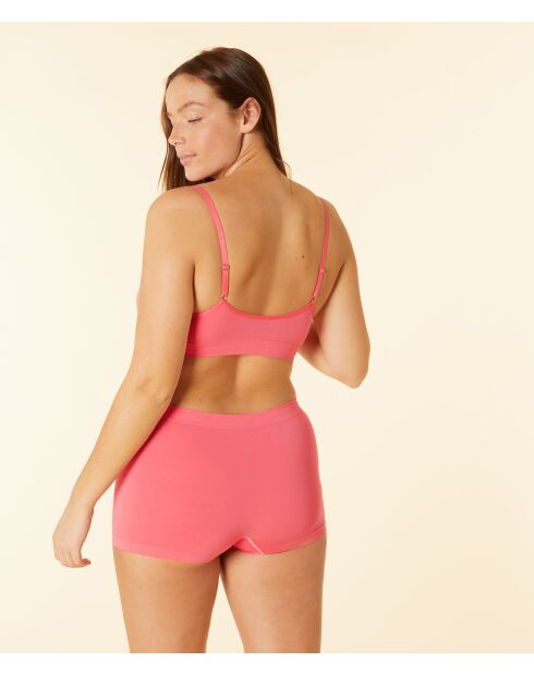 Shorty Amande petunia