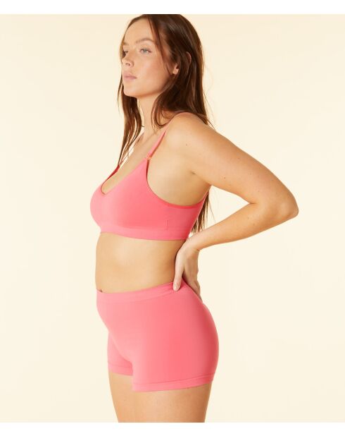 Shorty Amande petunia