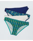 Set di 4 mutandine Pera multicolore