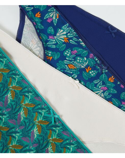 Set di 4 mutandine Pera multicolore