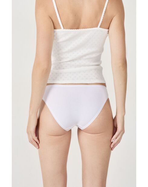 Lot de 3 culottes Jack multicolores