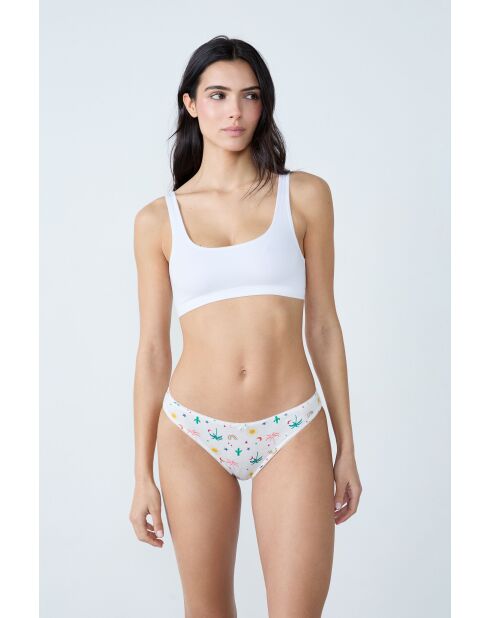 Lot de 3 culottes Jackie Multicolore