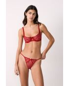 Mutandine rosse Declaration