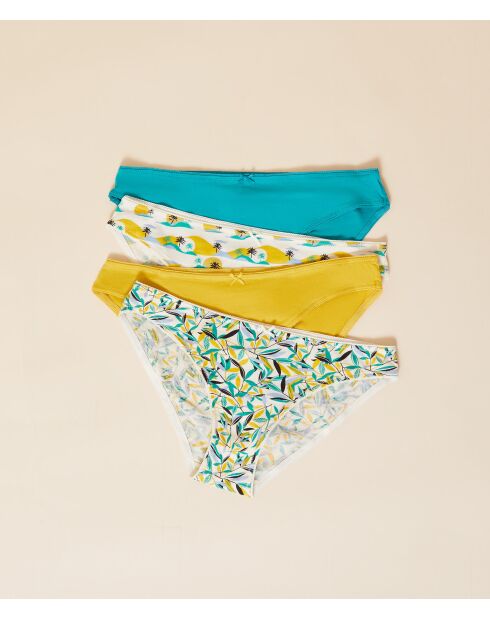 Lot de 4 culottes Lidya vert canard