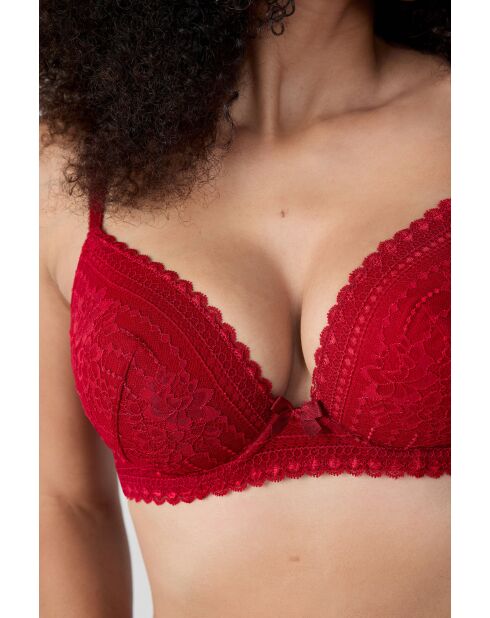 Panama kardinaalbeha met beugel nr. 5