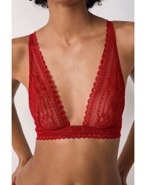 Panama kardinaalbeha met beugel nr. 7