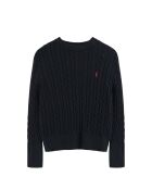 Marineblauwe trui Jean-Louis