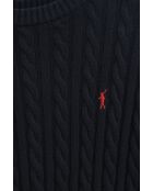 Marineblauwe trui Jean-Louis