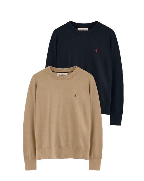 Lot de 2 Pulls Enzo multicolores