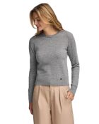 Grijze gemêleerde trui van Jean-Marie