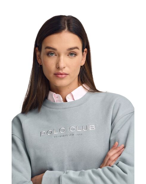 Sweat Vincent gris bleu