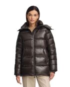 Giacca Victoire marrone