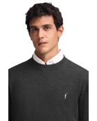 Lot de 2 Pulls Joris multicolores