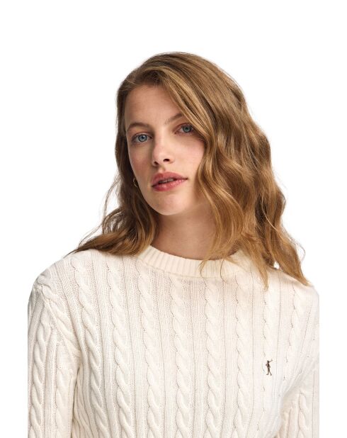 Lot de 2 Pulls Gilles multicolores