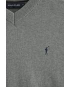 Maglione grigio Elias Vigore