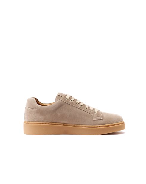 Baskets classiques en cuir Fanny taupe