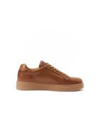 Baskets classique en cuir Damien marron brun