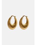 Pendientes Adib Hoop