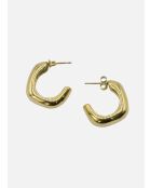 Goldohrringe Mars 2024, Kiefer