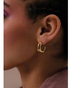 Goldohrringe Mars 2024, Kiefer