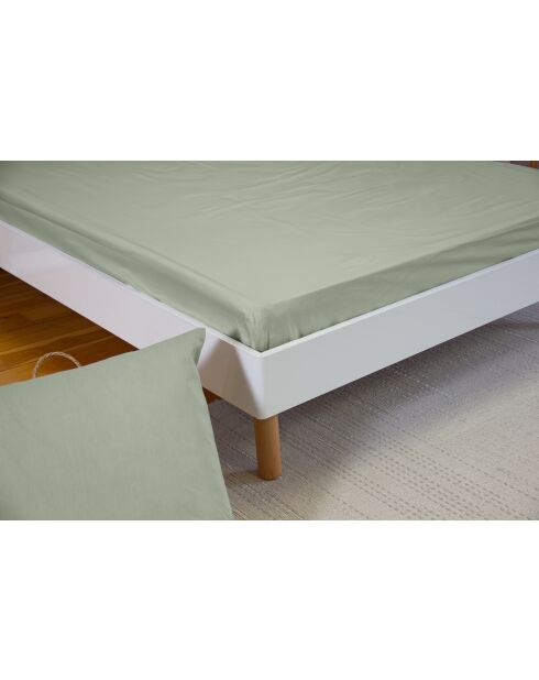 Drap housse en percale de coton vert sauge