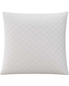 Oreiller à mémoire de forme blanc