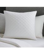 Oreiller à mémoire de forme blanc