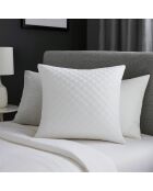 Oreiller à mémoire de forme blanc