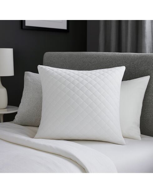 Oreiller à mémoire de forme blanc