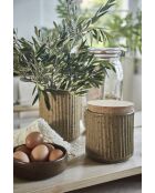 Pot en terre cuite Gena beige - d13.5x17cm