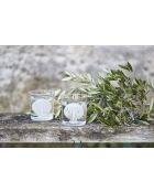 Gobelet bordmer bodega blanc- 35cl