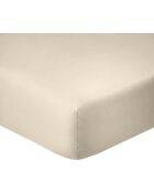 Drap housse en coton 57fils grège - 90x190cm bonnet 35cm
